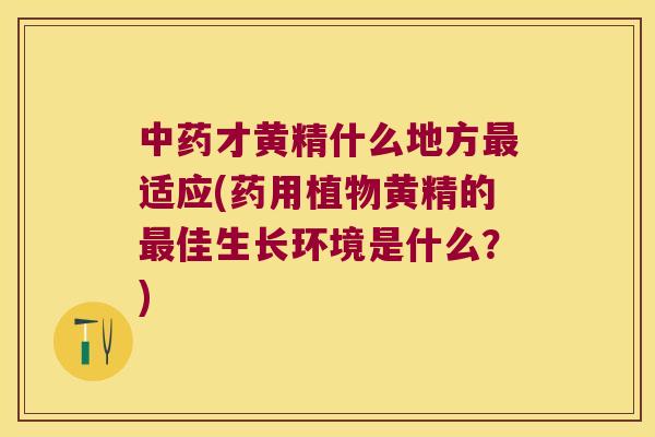 才黄精什么地方适应(药用植物黄精的佳生长环境是什么？)