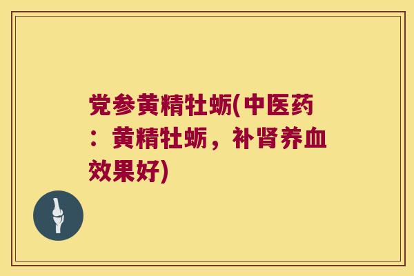 党参黄精牡蛎(中医药:黄精牡蛎,补效果好) 党参黄精牡蛎(中医药:黄精牡蛎,补效果好)