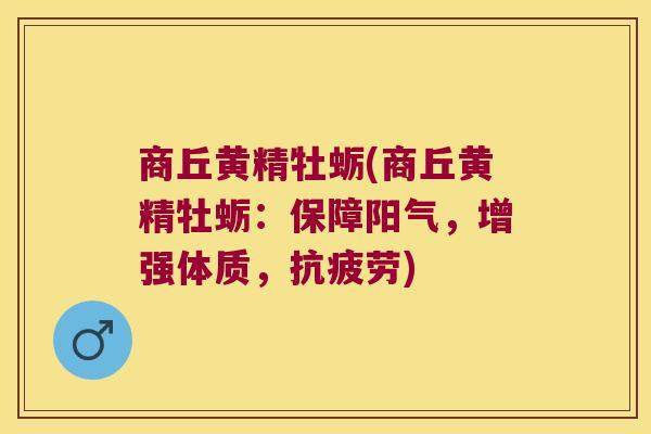 商丘黄精牡蛎(商丘黄精牡蛎：保障阳气，增强体质，)