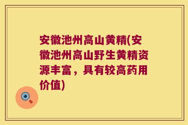 安徽池州高山黄精(安徽池州高山野生黄精资源丰富,具有较高药用价值) 安徽池州高山黄精(安徽池州高山野生黄精资源丰富,具有较高药用价值)
