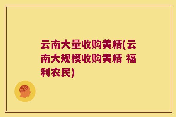 云南大量收购黄精(云南大规模收购黄精 福利农民)