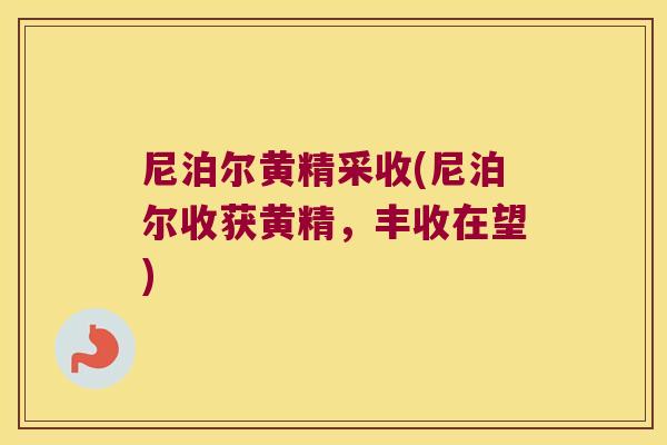 尼泊尔黄精采收(尼泊尔收获黄精，丰收在望)