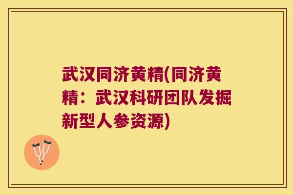 武汉同济黄精(同济黄精：武汉科研团队发掘新型人参资源)