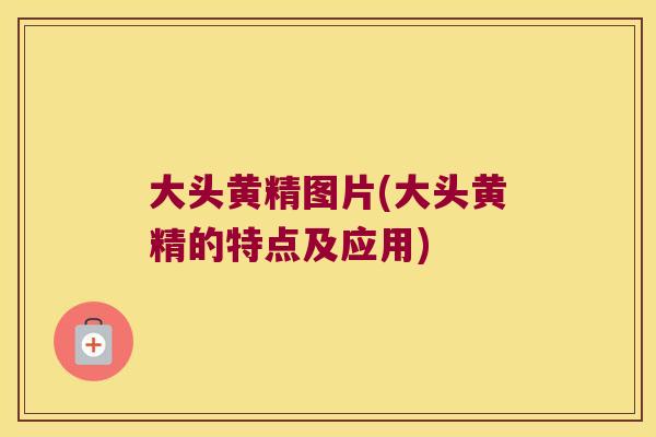 大头黄精图片(大头黄精的特点及应用) 大头黄精图片(大头黄精的特点及应用)