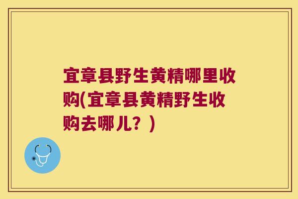 宜章县野生黄精哪里收购(宜章县黄精野生收购去哪儿？)