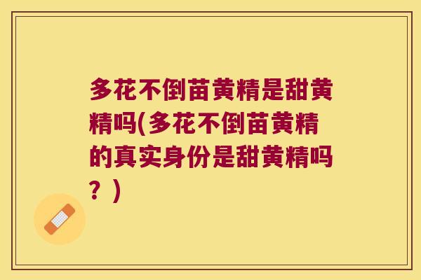 多花不倒苗黄精是甜黄精吗(多花不倒苗黄精的真实身份是甜黄精吗？)
