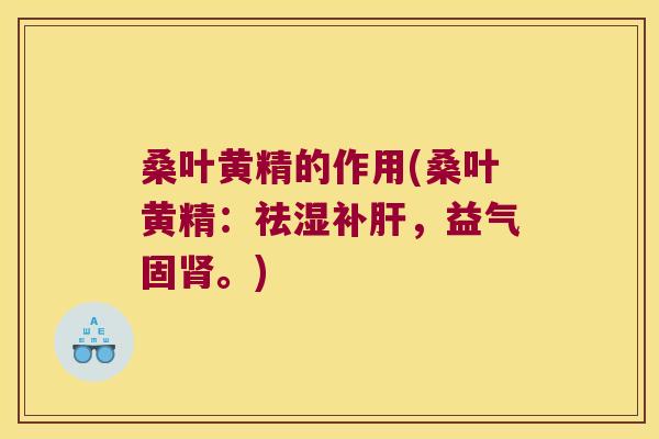 桑叶黄精的作用(桑叶黄精:祛湿补,益气固。) 桑叶黄精的作用(桑叶黄精:祛湿补,益气固。)