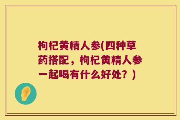 枸杞黄精人参(四种草药搭配，枸杞黄精人参一起喝有什么好处？)