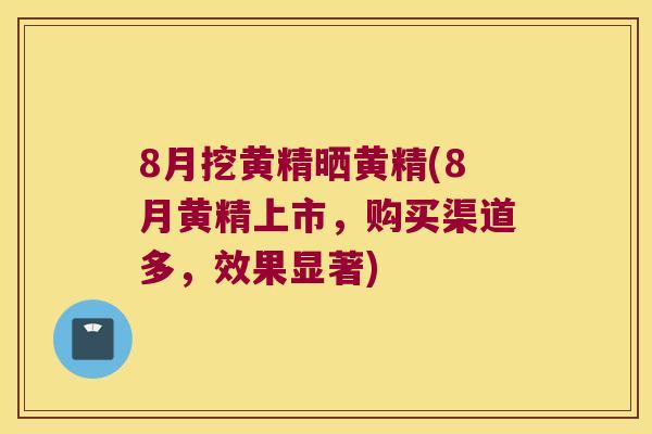 8月挖黄精晒黄精(8月黄精上市，购买渠道多，效果显著)
