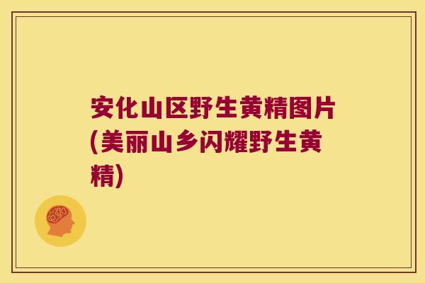 安化山区野生黄精图片(美丽山乡闪耀野生黄精) 安化山区野生黄精图片(美丽山乡闪耀野生黄精)
