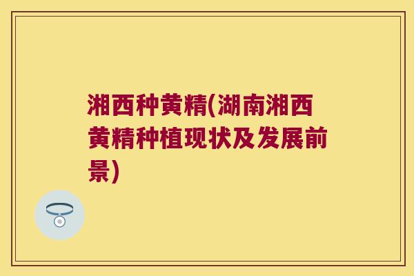 湘西种黄精(湖南湘西黄精种植现状及发展前景) 湘西种黄精(湖南湘西黄精种植现状及发展前景)