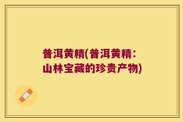 普洱黄精(普洱黄精:山林宝藏的珍贵产物) 普洱黄精(普洱黄精:山林宝藏的珍贵产物)