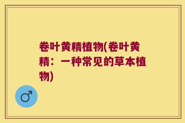 卷叶黄精植物(卷叶黄精：一种常见的草本植物)