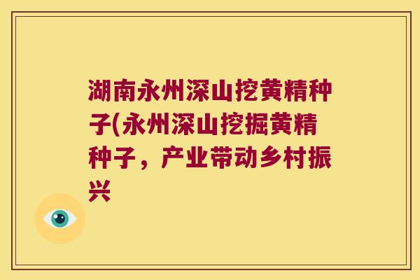 湖南永州深山挖黄精种子(永州深山挖掘黄精种子,产业带动乡村振兴 湖南永州深山挖黄精种子(永州深山挖掘黄精种子,产业带动乡村振兴
