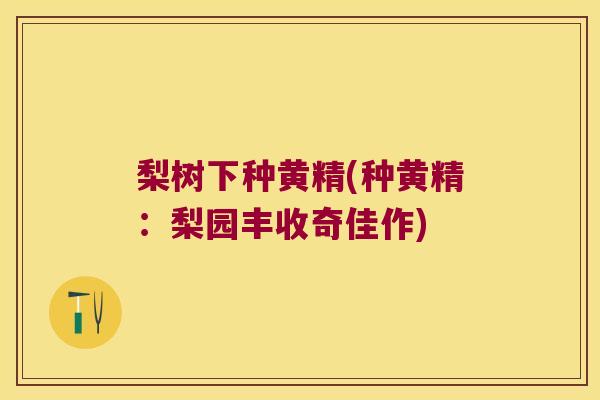 梨树下种黄精(种黄精:梨园丰收奇佳作) 梨树下种黄精(种黄精:梨园丰收奇佳作)