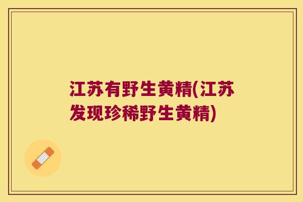 江苏有野生黄精(江苏发现珍稀野生黄精) 江苏有野生黄精(江苏发现珍稀野生黄精)