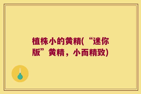 植株小的黄精(“迷你版”黄精，小而精致)