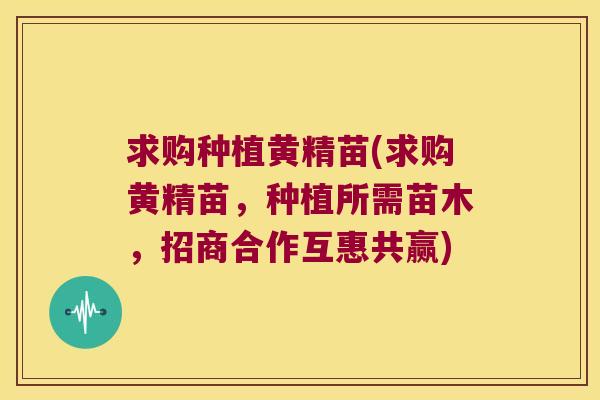 求购种植黄精苗(求购黄精苗,种植所需苗木,招商合作互惠共赢) 求购种植黄精苗(求购黄精苗,种植所需苗木,招商合作互惠共赢)