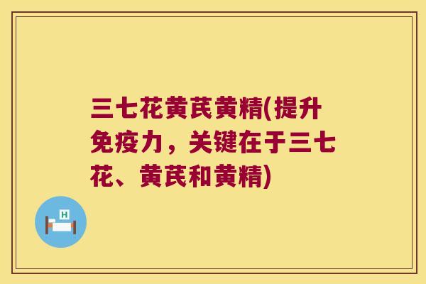 三七花黄芪黄精(提升力,关键在于三七花、黄芪和黄精) 三七花黄芪黄精(提升力,关键在于三七花、黄芪和黄精)