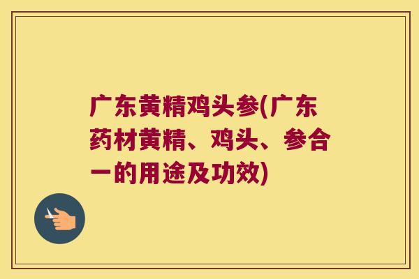 广东黄精鸡头参(广东药材黄精、鸡头、参合一的用途及功效) 广东黄精鸡头参(广东药材黄精、鸡头、参合一的用途及功效)