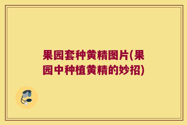 果园套种黄精图片(果园中种植黄精的妙招)