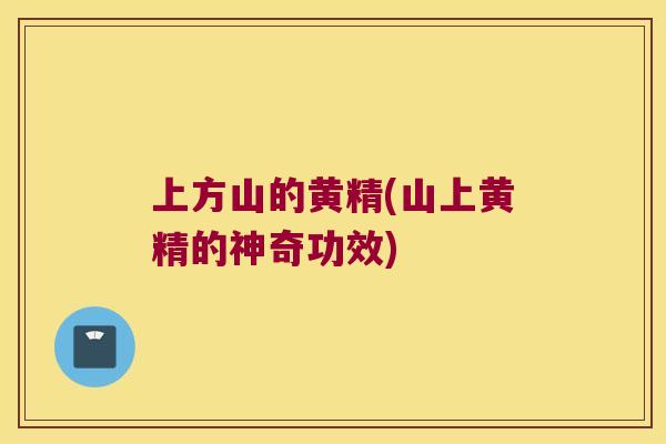 上方山的黄精(山上黄精的神奇功效) 上方山的黄精(山上黄精的神奇功效)