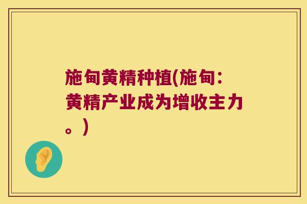 施甸黄精种植(施甸:黄精产业成为增收主力。) 施甸黄精种植(施甸:黄精产业成为增收主力。)