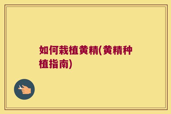 如何栽植黄精(黄精种植指南)