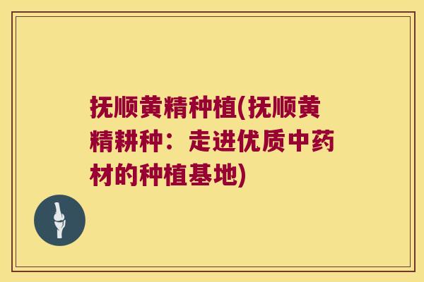 抚顺黄精种植(抚顺黄精耕种:走进优质材的种植基地) 抚顺黄精种植(抚顺黄精耕种:走进优质材的种植基地)