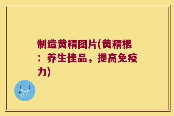 制造黄精图片(黄精根:养生佳品,提高力) 制造黄精图片(黄精根:养生佳品,提高力)