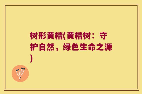 树形黄精(黄精树:守护自然,绿色生命之源) 树形黄精(黄精树:守护自然,绿色生命之源)