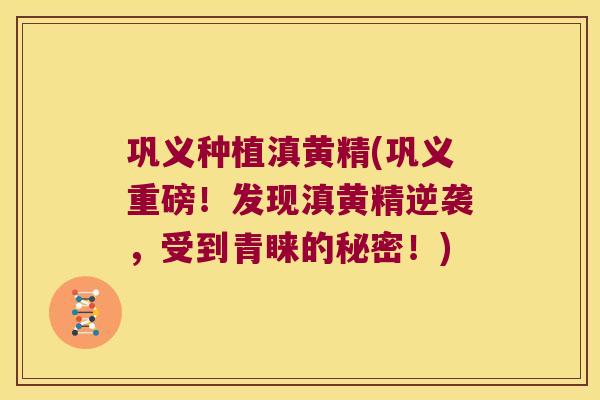 巩义种植滇黄精(巩义重磅!发现滇黄精逆袭,受到青睐的秘密!) 巩义种植滇黄精(巩义重磅!发现滇黄精逆袭,受到青睐的秘密!)