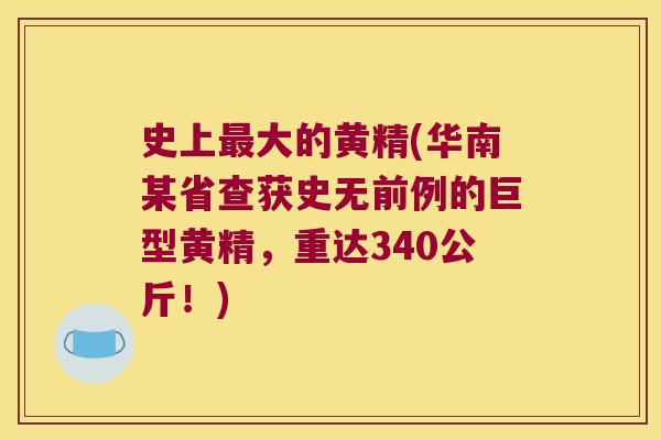 史上大的黄精(华南某省查获史无前例的巨型黄精，重达340公斤！)