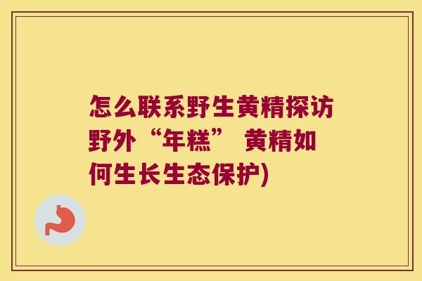 怎么联系野生黄精探访野外“年糕” 黄精如何生长生态保护)