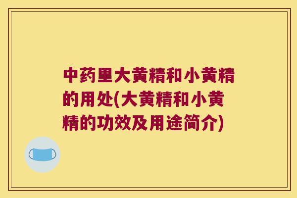 里大黄精和小黄精的用处(大黄精和小黄精的功效及用途简介) 里大黄精和小黄精的用处(大黄精和小黄精的功效及用途简介)