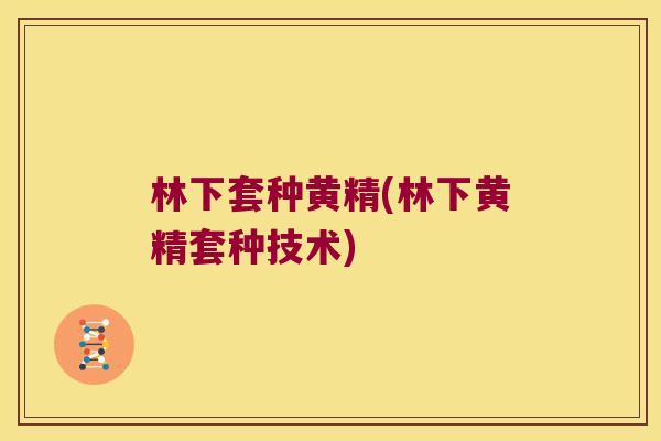林下套种黄精(林下黄精套种技术) 林下套种黄精(林下黄精套种技术)