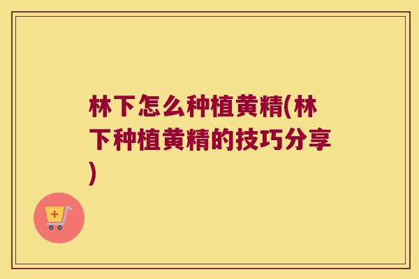 林下怎么种植黄精(林下种植黄精的技巧分享) 林下怎么种植黄精(林下种植黄精的技巧分享)