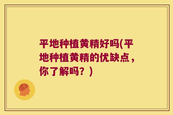 平地种植黄精好吗(平地种植黄精的优缺点，你了解吗？)