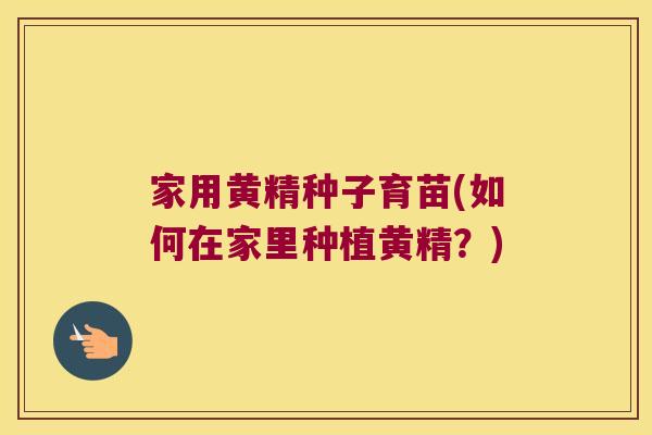 家用黄精种子育苗(如何在家里种植黄精？)