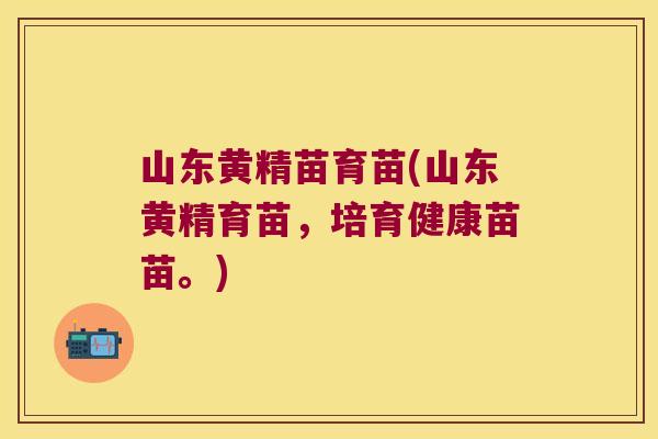 山东黄精苗育苗(山东黄精育苗,培育健康苗苗。) 山东黄精苗育苗(山东黄精育苗,培育健康苗苗。)