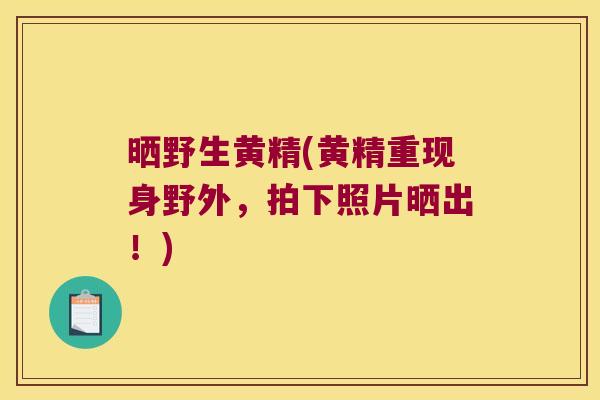 晒野生黄精(黄精重现身野外，拍下照片晒出！)