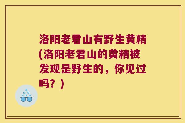 洛阳老君山有野生黄精(洛阳老君山的黄精被发现是野生的,你见过吗?) 洛阳老君山有野生黄精(洛阳老君山的黄精被发现是野生的,你见过吗?)