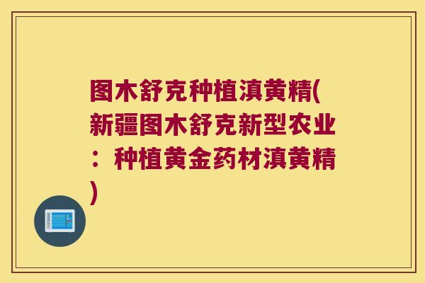 图木舒克种植滇黄精(新疆图木舒克新型农业：种植黄金药材滇黄精)