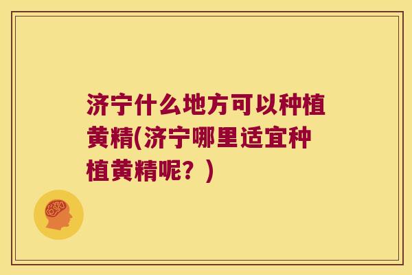 济宁什么地方可以种植黄精(济宁哪里适宜种植黄精呢?) 济宁什么地方可以种植黄精(济宁哪里适宜种植黄精呢?)