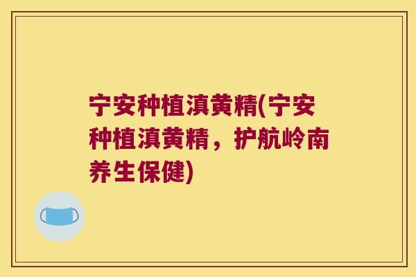 宁安种植滇黄精(宁安种植滇黄精，护航岭南养生保健)