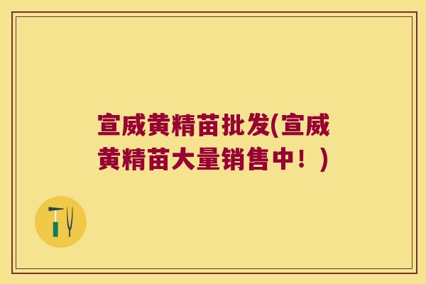 宣威黄精苗批发(宣威黄精苗大量销售中！)