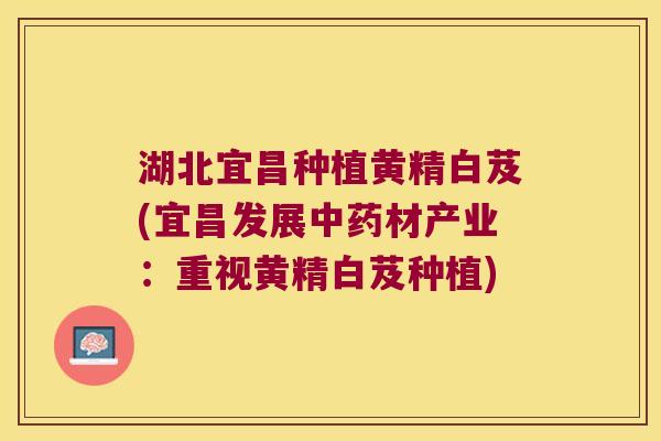 湖北宜昌种植黄精白芨(宜昌发展材产业：重视黄精白芨种植)