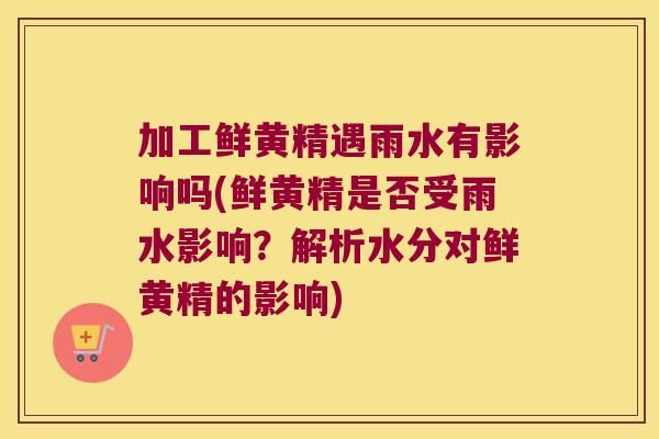 加工鲜黄精遇雨水有影响吗(鲜黄精是否受雨水影响？解析水分对鲜黄精的影响)