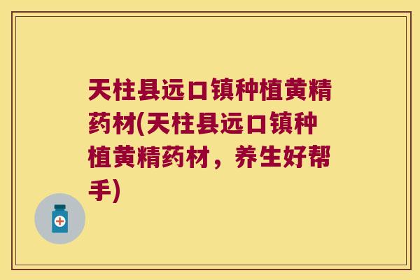 天柱县远口镇种植黄精药材(天柱县远口镇种植黄精药材,养生好帮手) 天柱县远口镇种植黄精药材(天柱县远口镇种植黄精药材,养生好帮手)
