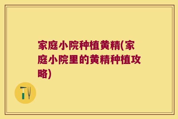 家庭小院种植黄精(家庭小院里的黄精种植攻略) 家庭小院种植黄精(家庭小院里的黄精种植攻略)